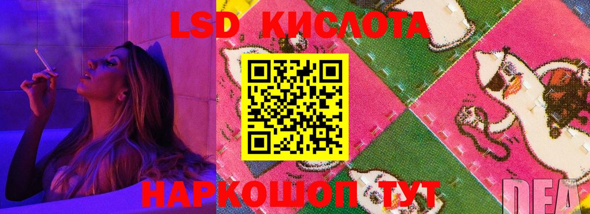 Лсд 25 Знаменск