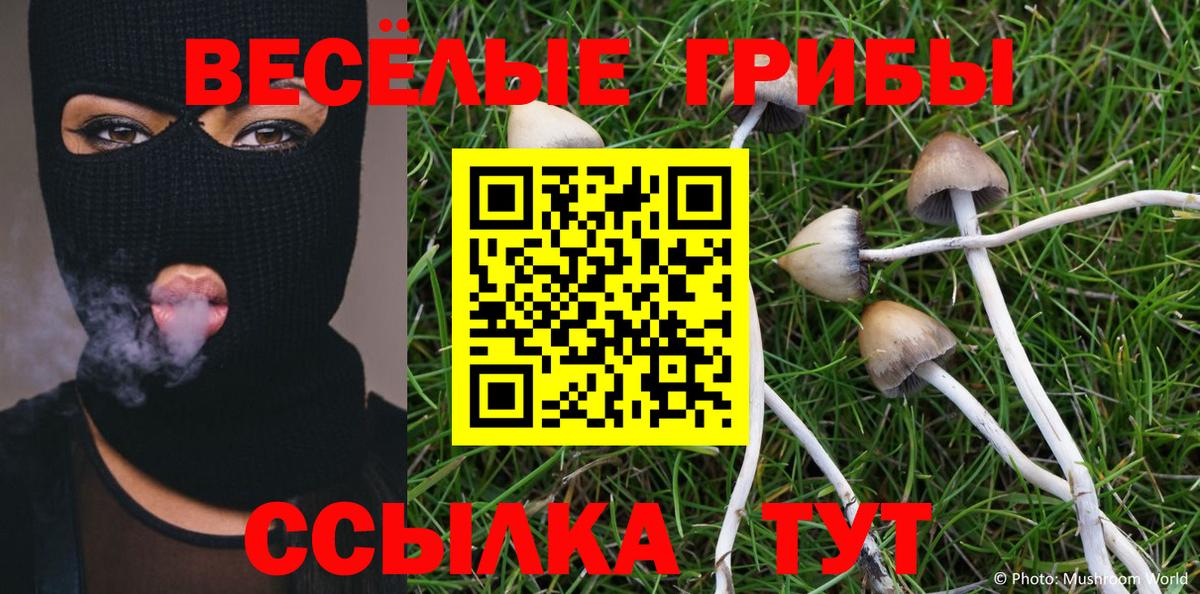 Псилоцибиновые грибы прущие грибы Знаменск